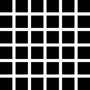 Illusion Grid